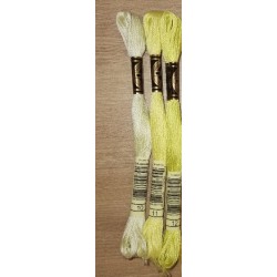 Fil a broder - Vert- 523.3053.3052.3051.520.522.3364.3363.3362.907.469.470.471.472.934.935.936.937.3345.895.701.702.703.704.904