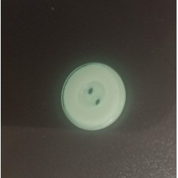 7654 - Bouton brillant