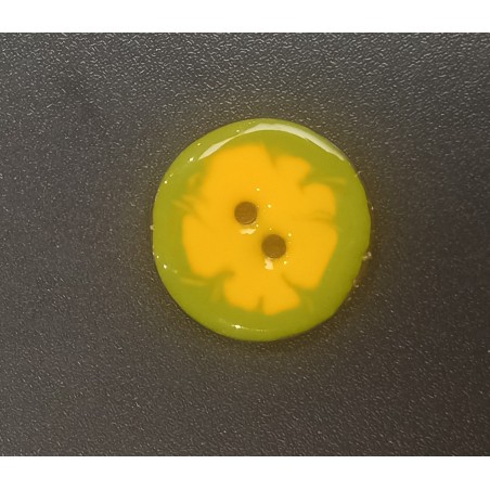 4886. Bouton Bicolore