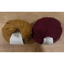383187 - Fashion Alpaca Dream