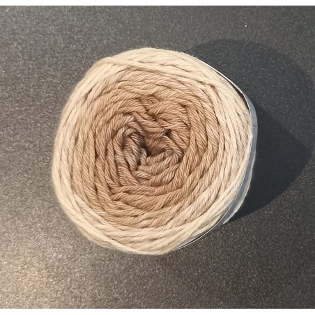 Pelote ricorumi dégradée