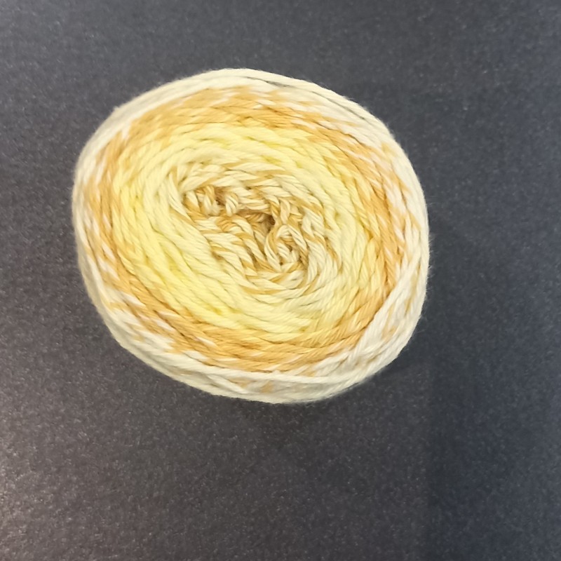 Pelote ricorumi dégradée