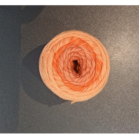 Pelote ricorumi dégradée