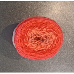 Pelote ricorumi dégradée