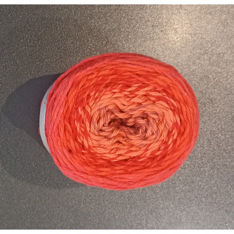 Pelote ricorumi dégradée