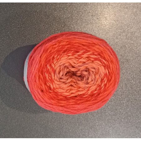 Pelote ricorumi dégradée