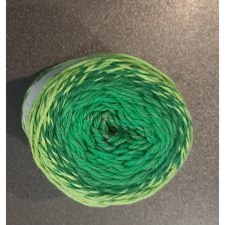 Pelote ricorumi dégradée