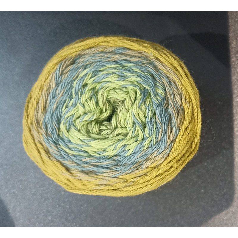 Pelote ricorumi dégradée