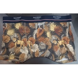 Caleçon - Singe et Lion