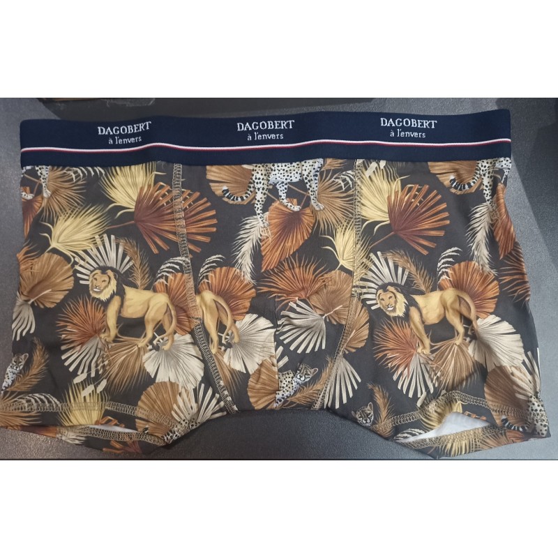 Caleçon - Singe et Lion